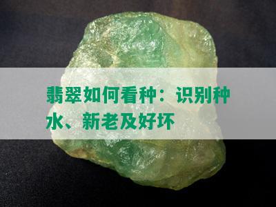 翡翠如何看种：识别种水、新老及好坏