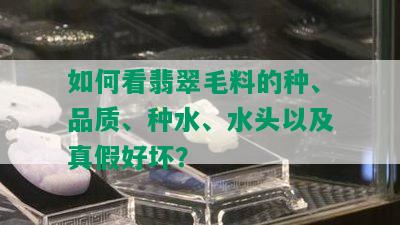 如何看翡翠毛料的种、品质、种水、水头以及真假好坏？