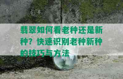 翡翠如何看老种还是新种？快速识别老种新种的技巧与方法