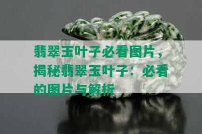 翡翠玉叶子必看图片，揭秘翡翠玉叶子：必看的图片与解析