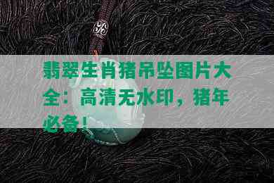 翡翠生肖猪吊坠图片大全：高清无水印，猪年必备！