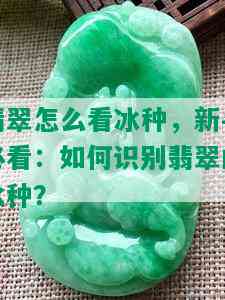 翡翠怎么看冰种，新手必看：如何识别翡翠的冰种？