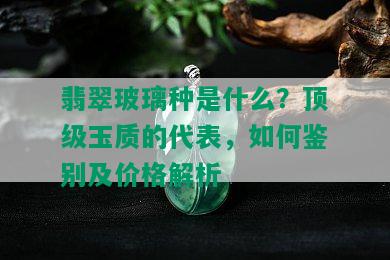 翡翠玻璃种是什么？顶级玉质的代表，如何鉴别及价格解析