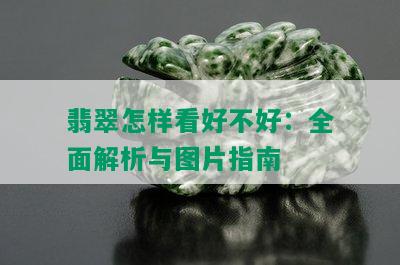 翡翠怎样看好不好：全面解析与图片指南