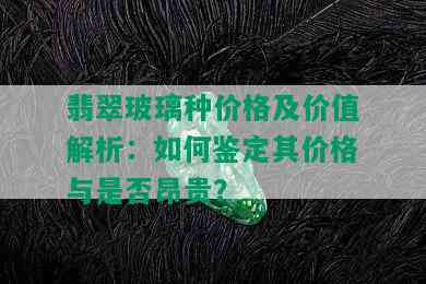 翡翠玻璃种价格及价值解析：如何鉴定其价格与是否昂贵？