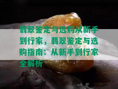 翡翠鉴定与选购从新手到行家，翡翠鉴定与选购指南：从新手到行家全解析