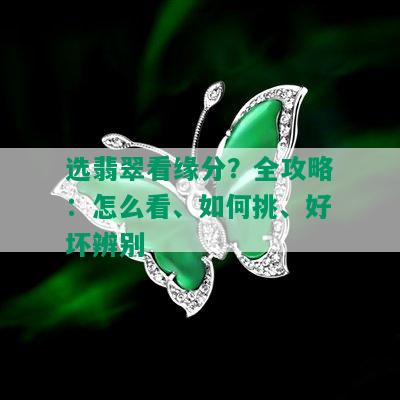 选翡翠看缘分？全攻略：怎么看、如何挑、好坏辨别