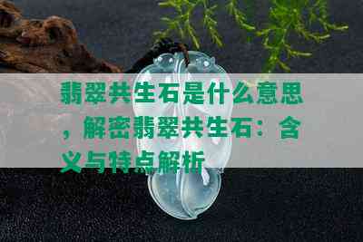 翡翠共生石是什么意思，解密翡翠共生石：含义与特点解析