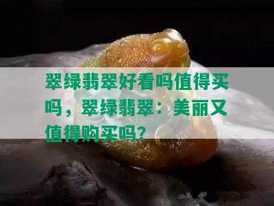 翠绿翡翠好看吗值得买吗，翠绿翡翠：美丽又值得购买吗？