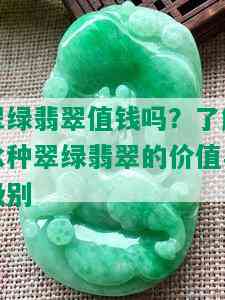 翠绿翡翠值钱吗？了解冰种翠绿翡翠的价值与级别