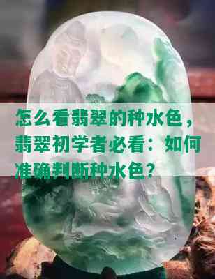 怎么看翡翠的种水色，翡翠初学者必看：如何准确判断种水色？