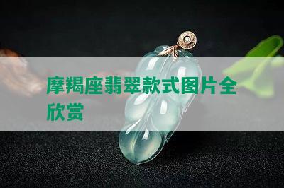 摩羯座翡翠款式图片全欣赏