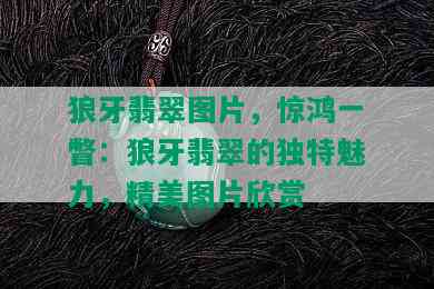 狼牙翡翠图片，惊鸿一瞥：狼牙翡翠的独特魅力，精美图片欣赏