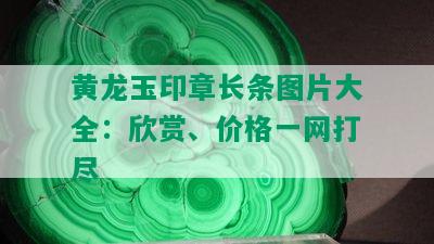 黄龙玉印章长条图片大全：欣赏、价格一网打尽