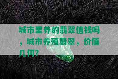 城市里养的翡翠值钱吗，城市养殖翡翠，价值几何？