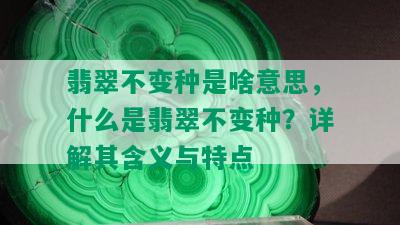 翡翠不变种是啥意思，什么是翡翠不变种？详解其含义与特点