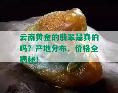 云南黄金的翡翠是真的吗？产地分布、价格全揭秘！