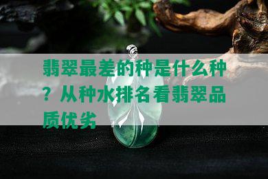 翡翠最差的种是什么种？从种水排名看翡翠品质优劣