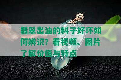 翡翠出油的料子好坏如何辨识？看视频、图片了解价值与特点