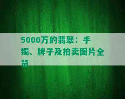 5000万的翡翠：手镯、牌子及拍卖图片全览