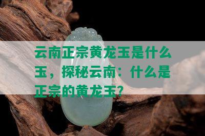 云南正宗黄龙玉是什么玉，探秘云南：什么是正宗的黄龙玉？