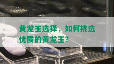 黄龙玉选择，如何挑选优质的黄龙玉？