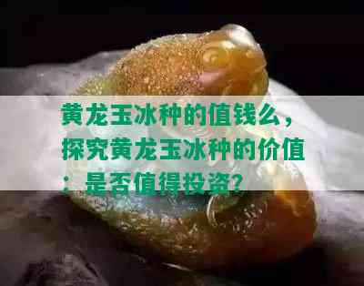 黄龙玉冰种的值钱么，探究黄龙玉冰种的价值：是否值得投资？