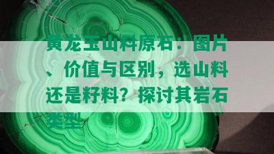 黄龙玉山料原石：图片、价值与区别，选山料还是籽料？探讨其岩石类型