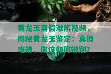 黄龙玉真假难辨视频，揭秘黄龙玉鉴定：真假难辨，你该如何辨别？