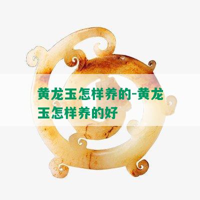 黄龙玉怎样养的-黄龙玉怎样养的好