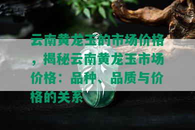 云南黄龙玉的市场价格，揭秘云南黄龙玉市场价格：品种、品质与价格的关系