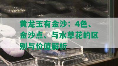 黄龙玉有金沙：4色、金沙点、与水草花的区别与价值解析