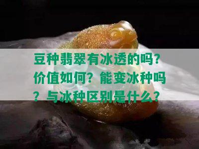 豆种翡翠有冰透的吗？价值如何？能变冰种吗？与冰种区别是什么？