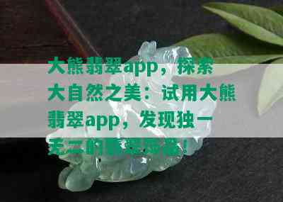 大熊翡翠app，探索大自然之美：试用大熊翡翠app，发现独一无二的翡翠饰品！