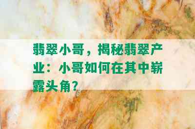 翡翠小哥，揭秘翡翠产业：小哥如何在其中崭露头角？