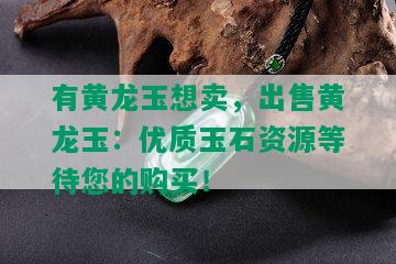 有黄龙玉想卖，出售黄龙玉：优质玉石资源等待您的购买！