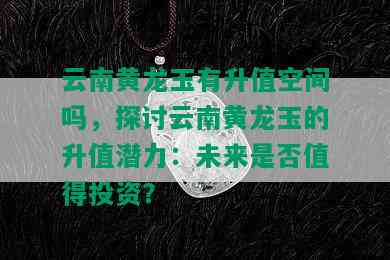 云南黄龙玉有升值空间吗，探讨云南黄龙玉的升值潜力：未来是否值得投资？