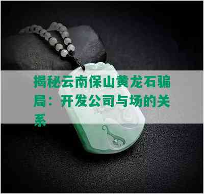 揭秘云南保山黄龙石骗局：开发公司与场的关系