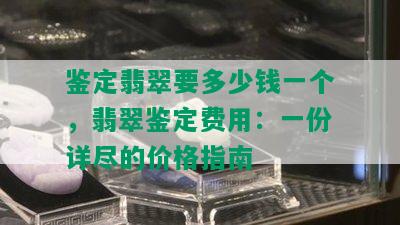 鉴定翡翠要多少钱一个，翡翠鉴定费用：一份详尽的价格指南