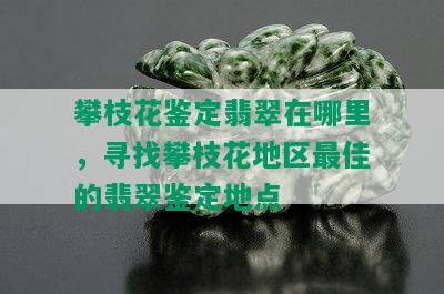 攀枝花鉴定翡翠在哪里，寻找攀枝花地区更佳的翡翠鉴定地点