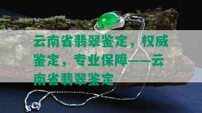 云南省翡翠鉴定，权威鉴定，专业保障——云南省翡翠鉴定