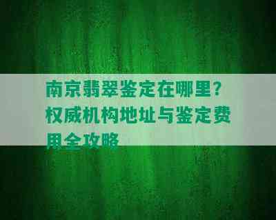 南京翡翠鉴定在哪里？权威机构地址与鉴定费用全攻略