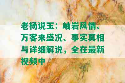 老杨说玉：岫岩风情、万客来盛况、事实真相与详细解说，全在最新视频中