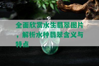 全面欣赏水生翡翠图片，解析水种翡翠含义与特点