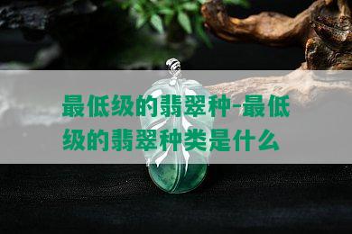 更低级的翡翠种-更低级的翡翠种类是什么