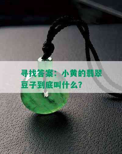 寻找答案：小黄的翡翠豆子到底叫什么？