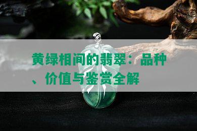 黄绿相间的翡翠：品种、价值与鉴赏全解