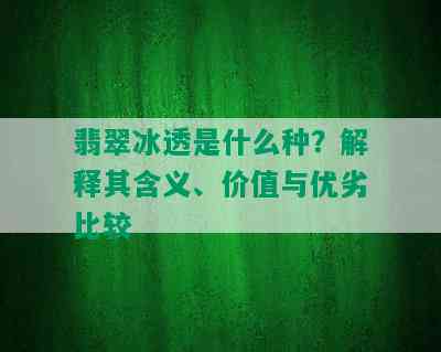 翡翠冰透是什么种？解释其含义、价值与优劣比较