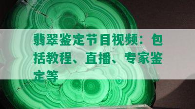 翡翠鉴定节目视频：包括教程、直播、专家鉴定等