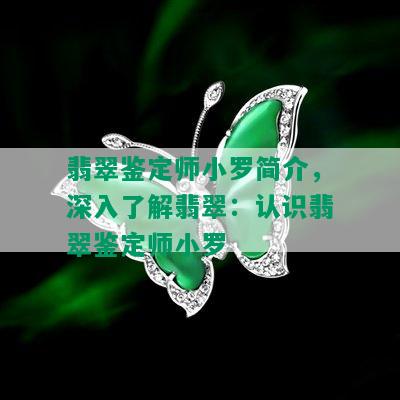 翡翠鉴定师小罗简介，深入了解翡翠：认识翡翠鉴定师小罗